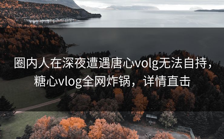 圈内人在深夜遭遇唐心volg无法自持，糖心vlog全网炸锅，详情直击