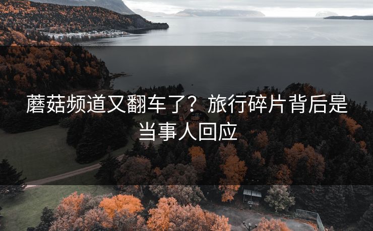 蘑菇频道又翻车了？旅行碎片背后是当事人回应